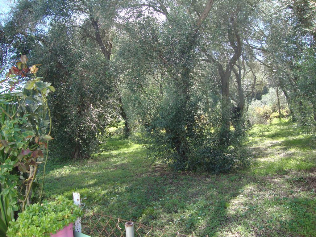 Tasia Studios Perivolion Bagian luar foto