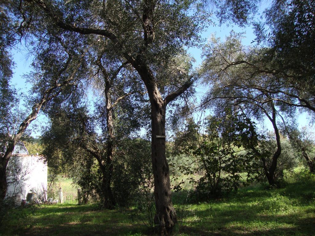 Tasia Studios Perivolion Bagian luar foto